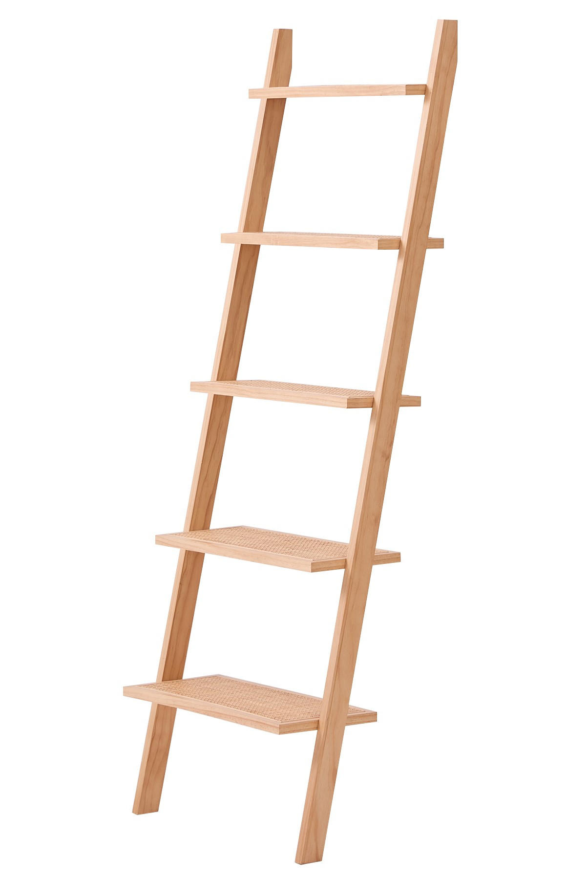 REGAL Braun - Braun, Holz (55.5/157/49cm) - Nordlys