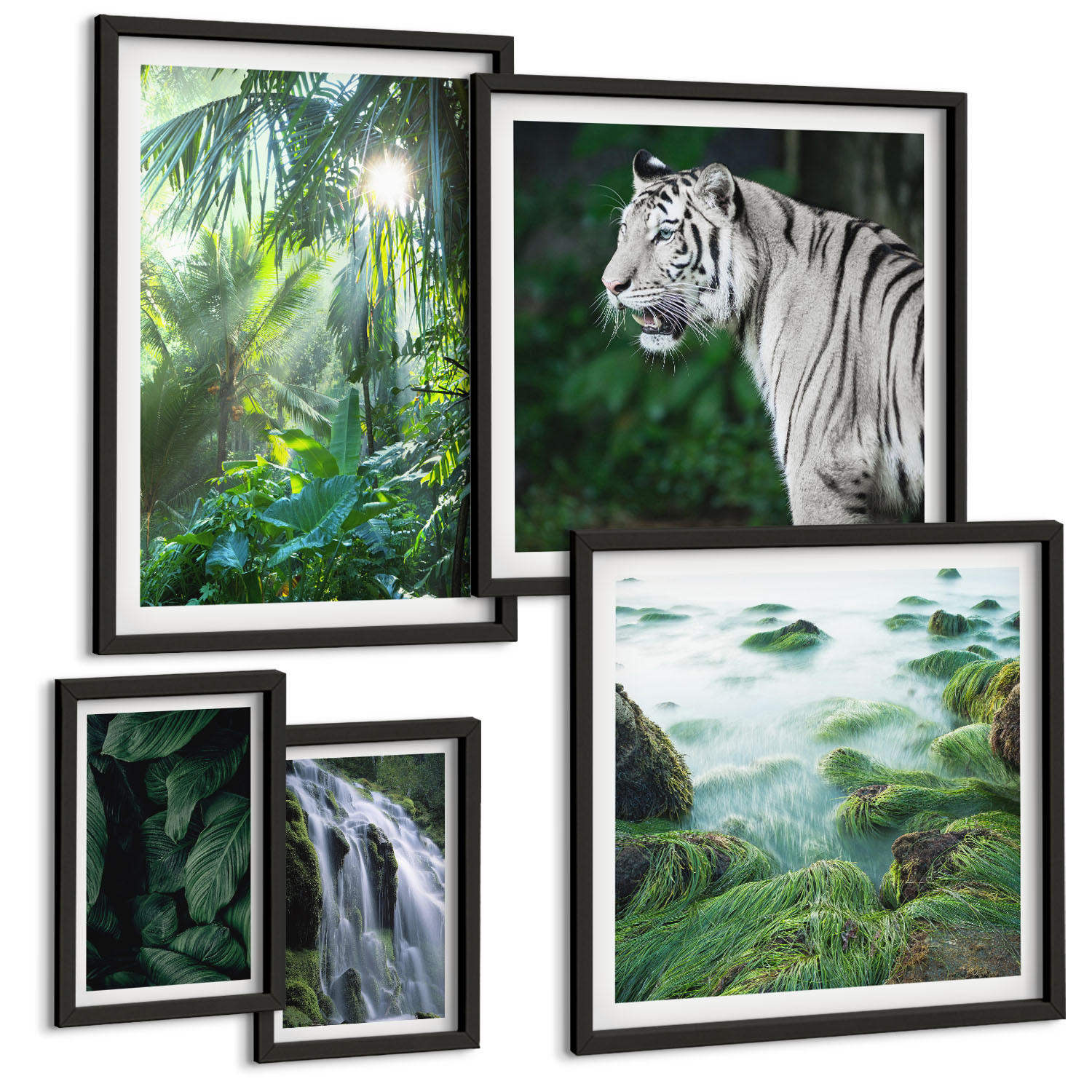 BILDER SET 5er Set - 50x50 cm & 20x30 cm & 40x60 cm Schwarzer Rahmen - Blätter und Blüten in verschiedenen Farben - Schwarz, Kunststoff (40/60cm) - TULUP