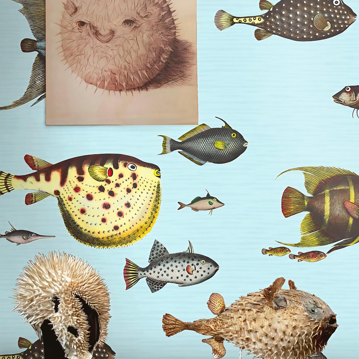 TAPETE Fische aus echtem Papier, 200x280cm, 8 Bögen - Hellblau, Papier (200/280cm) - WALLPAPERS4BEGINNERS