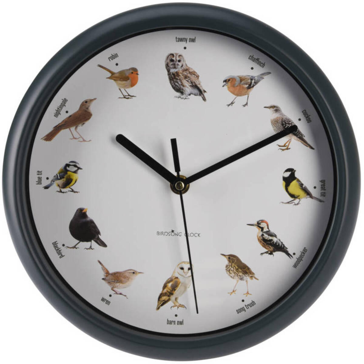 WANDUHR Vogelgeräusche - Anthrazit, Kunststoff (5/26.5/27cm) - Home Styling Collection