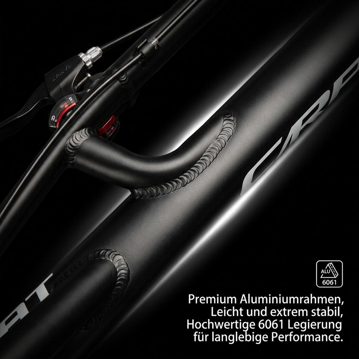 MOUNTAINBIKE 26 Zoll Schwarz + Weiß – 4.0 Zoll Fettreifen – 2x8 Gangschaltung – Aluminiumlegierung - Schwarz, Metall (24cm) - Oxeza