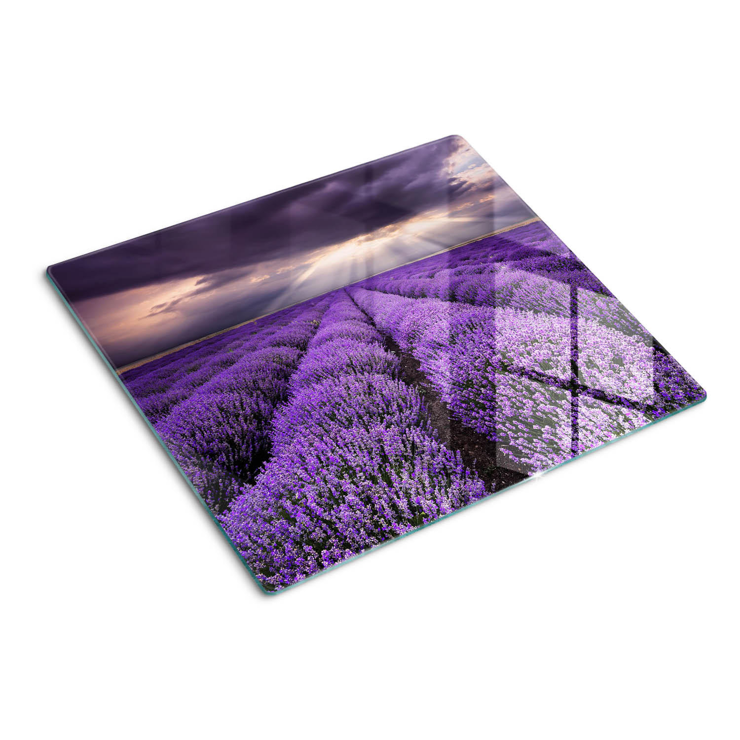 GLASPLATTE 60x52 cm Lavendelfeld - Lila, Glas (60/0.4/52cm) - TULUP