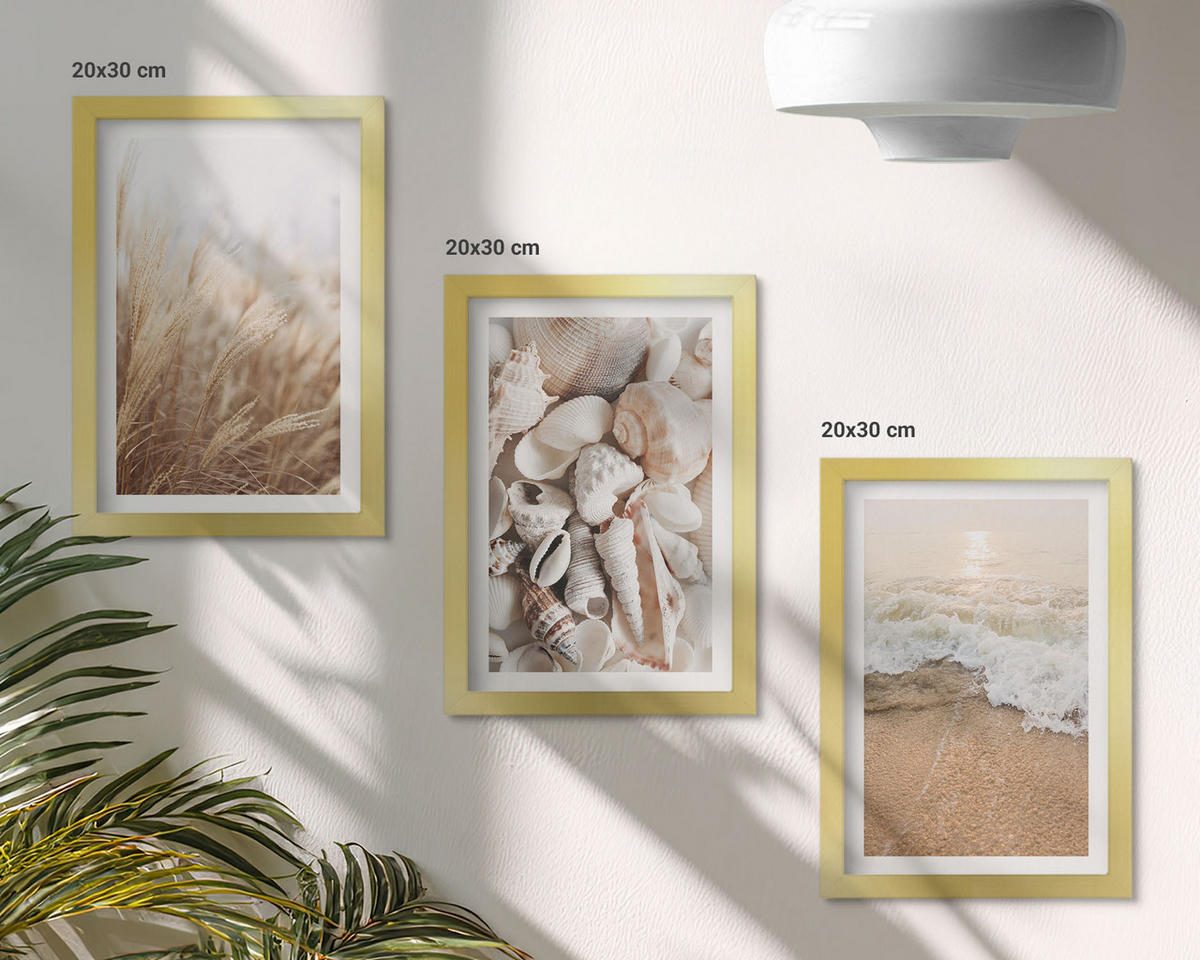 BILDER SET 3er Set - 20x30 cm Goldrahmen - Strandmotive, Muscheln, Wellen - Goldfarben, Kunststoff (20/30cm) - TULUP