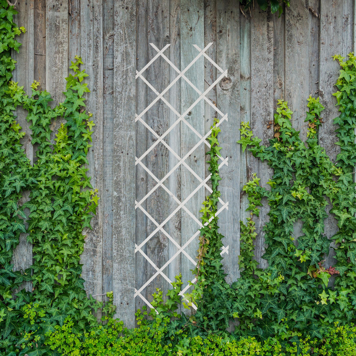 3XRANKGITTER - Weiß, Holz (60/180/1cm) - Relaxdays