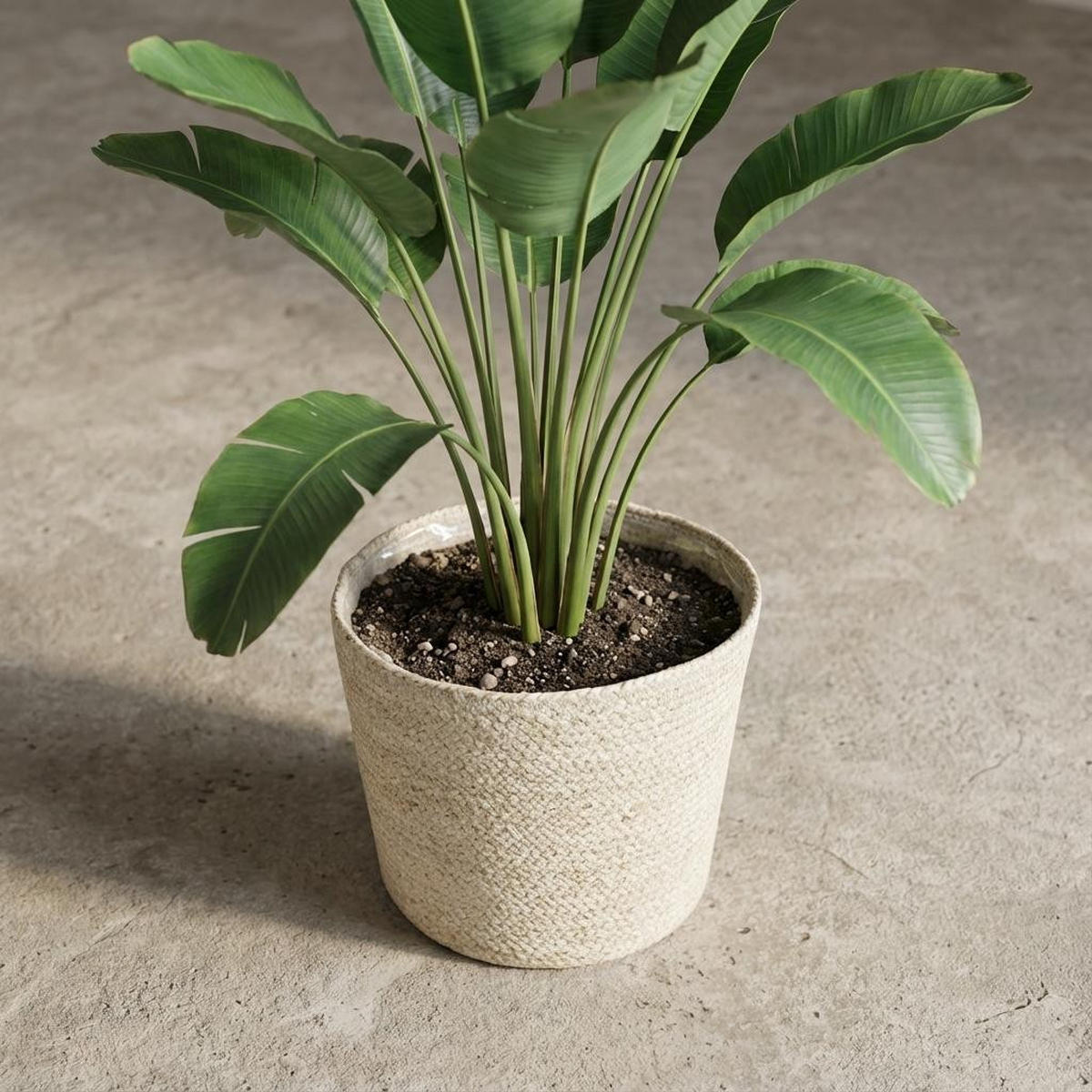 PFLANZENTOPF Selin Ø22cm Höhe 19cm - Naturfarben, Naturmaterialien (22/19cm) - MEERGroothandel