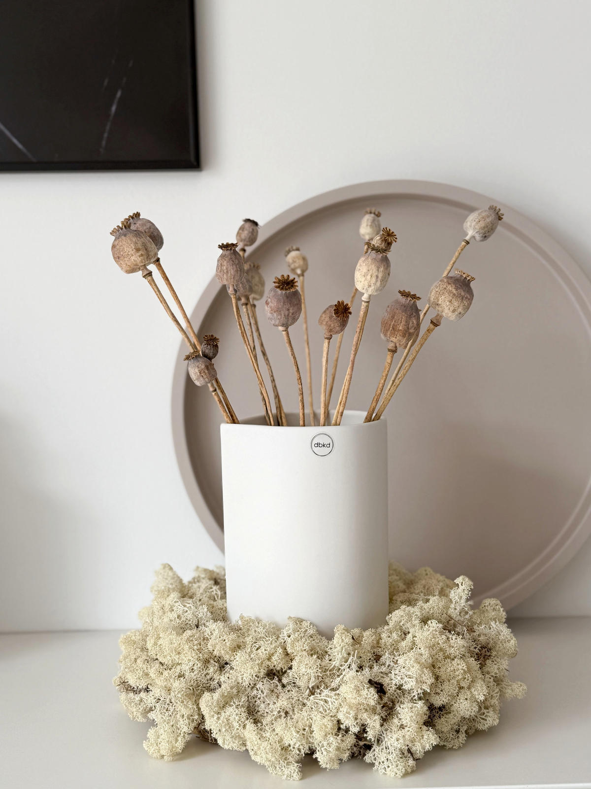 MOHNKAPSELN Giant (Papaver): Getrocknete Mohnkapseln als zeitlose Dekoration - natur / 5 Stiele / 30 cm - Beige, Naturmaterialien (30cm) - Lykke & You