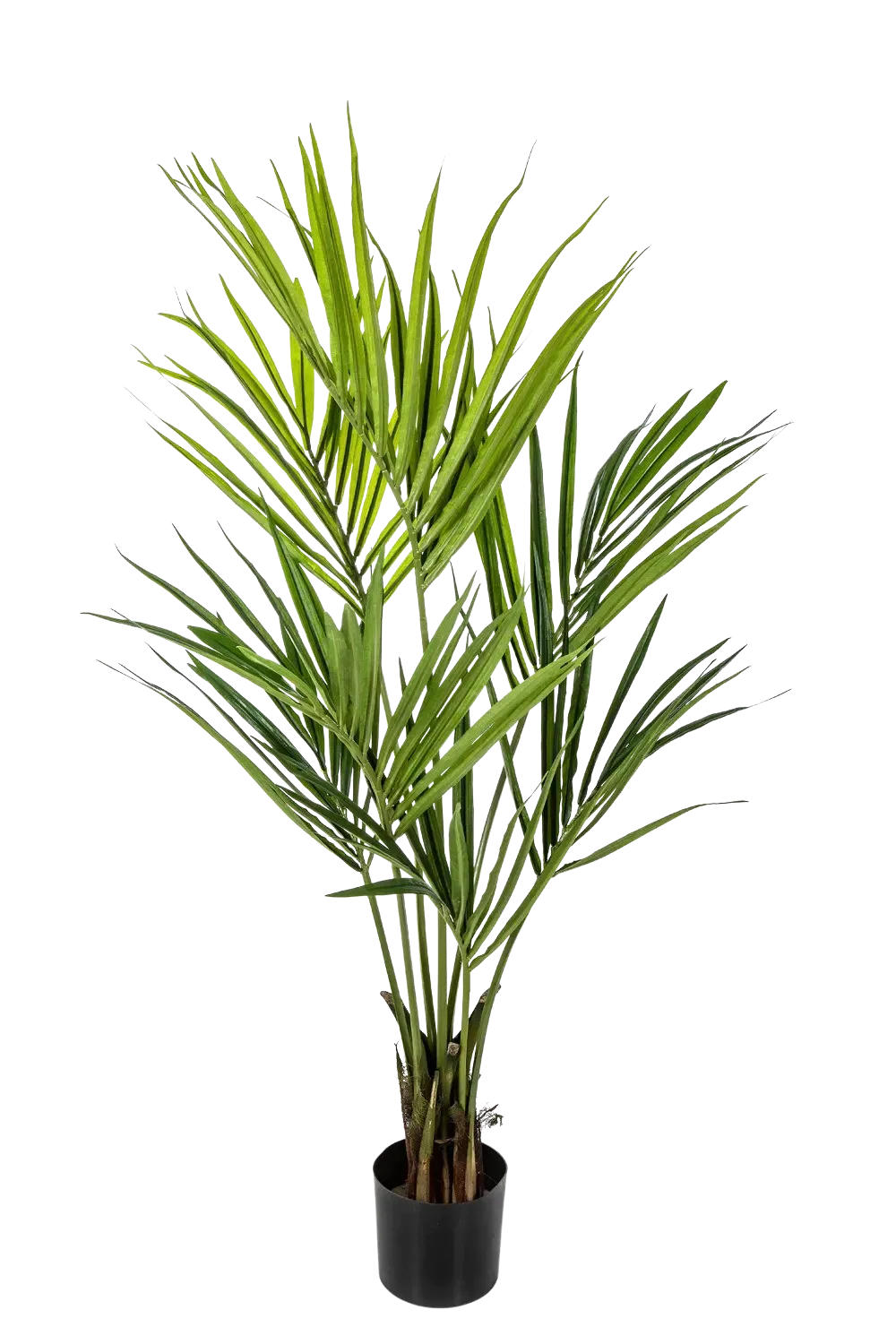 KUNSTBAUM Künstliche Kentia Palme - Cataleya 140 cm - Grün, Kunststoff (140cm) - aplanta