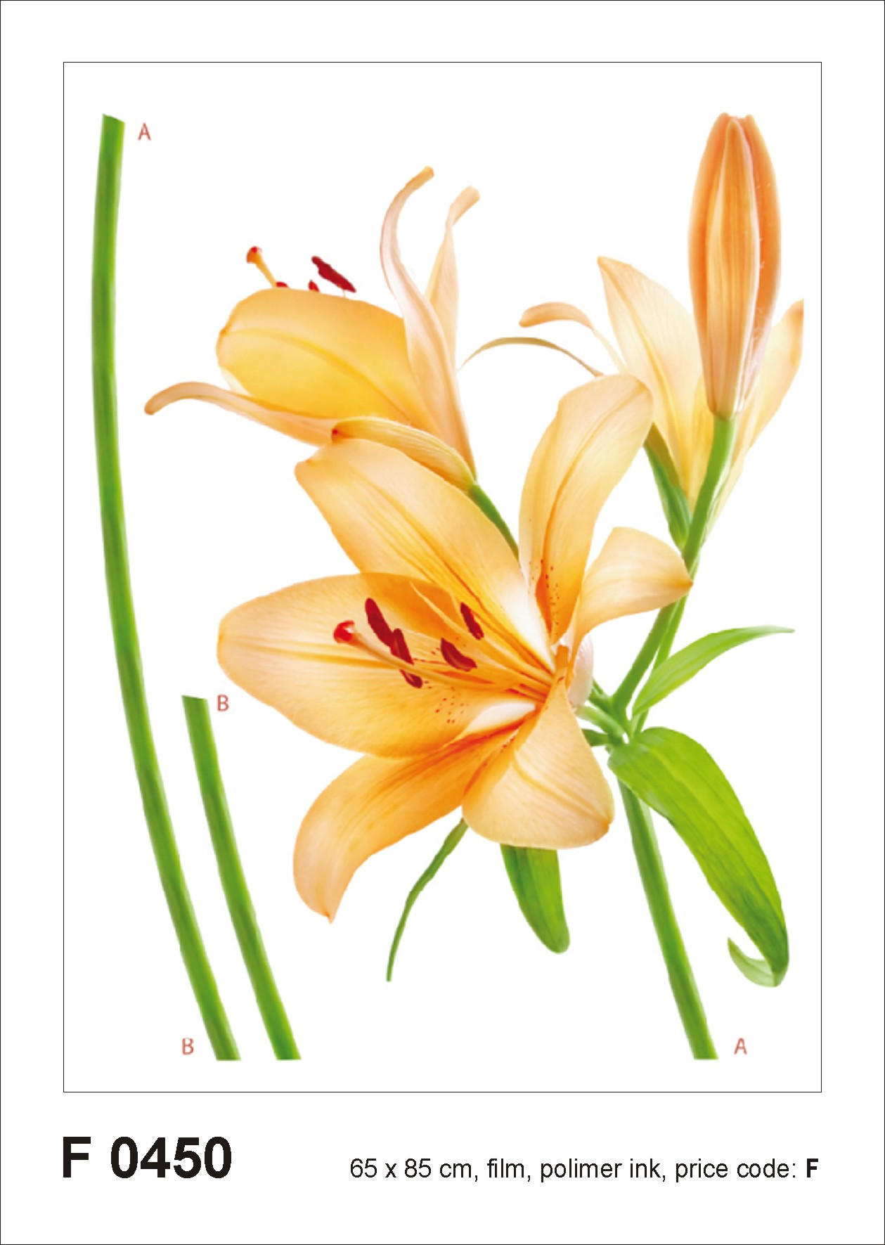 WANDTATTOO Blumen 85 x 65 cm - Orange, Papier (85/65/65cm) - Sanders & Sanders