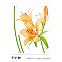 WANDTATTOO Blumen 85 x 65 cm - Orange, Papier (85/65/65cm) - Sanders & Sanders