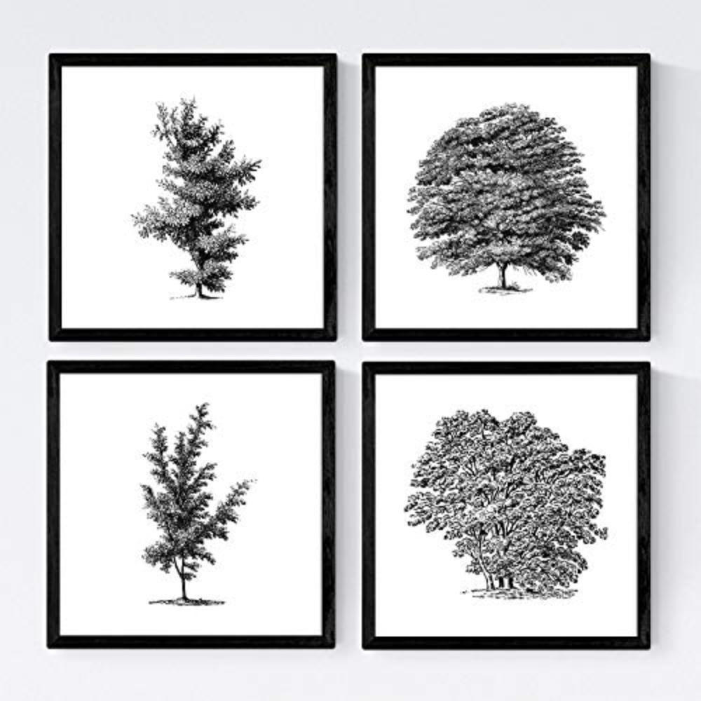 POSTER Set mit 4 Bädern Bäume variierten weißer Hintergrund 20x20cm Rahmenlos - Klar, Papier (20/3cm) - Nacnic