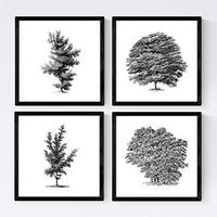 POSTER Set mit 4 Bädern Bäume variierten weißer Hintergrund 20x20cm Rahmenlos - Klar, Papier (20/3cm) - Nacnic