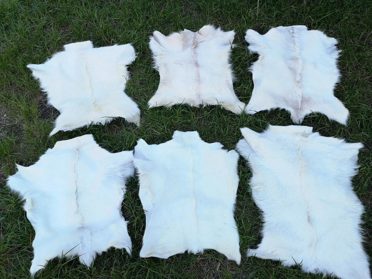 ZIEGENFELL Naturfell weich geruchsneutral Schnäppchen Weiß ca. 60 cm - Weiß, Fell (36/60cm) - Provellus