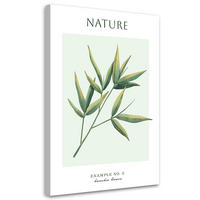 WANDBILD bambusblätter natur - Grün, Textil (40/60cm) - Feeby