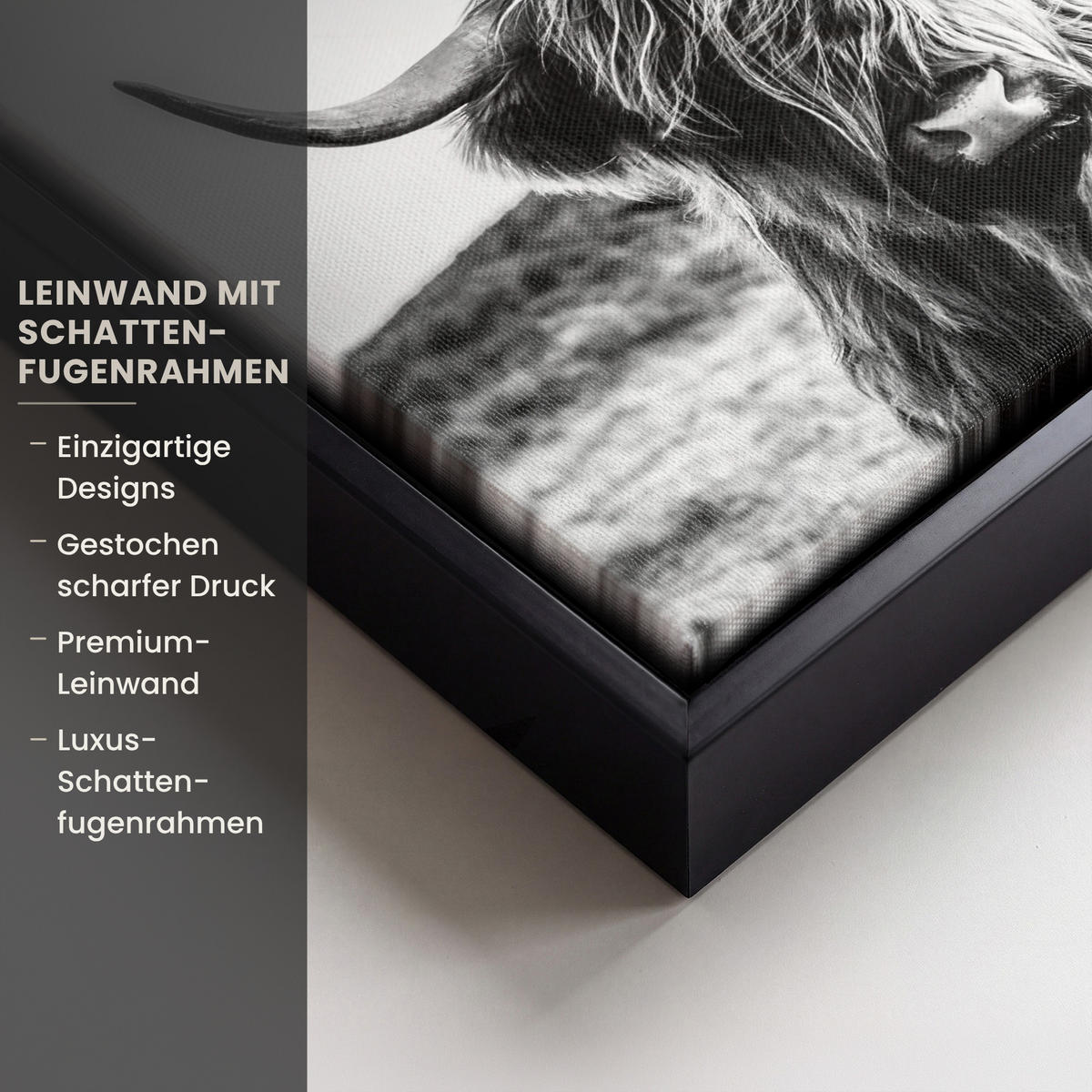LEINWAND Bilder mit Rahmen - Kuh - Schottischer Hochländer - Schwarz - Weiß - Tier - Natur - Wildtiere - 20x20 - Schwarz, Textil (20/20cm) - MuchoWow