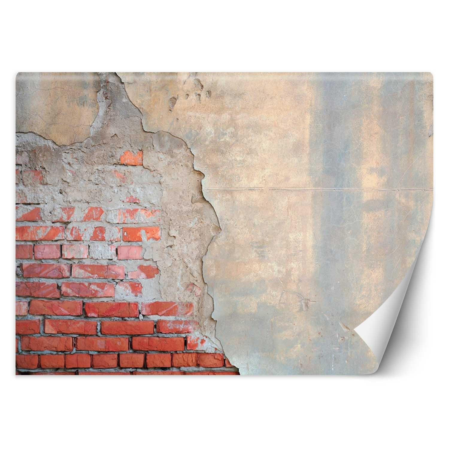 VLIESTAPETE Rot 200/140 cm - Rot, Papier (200/1cm) - KUNSTLOFT