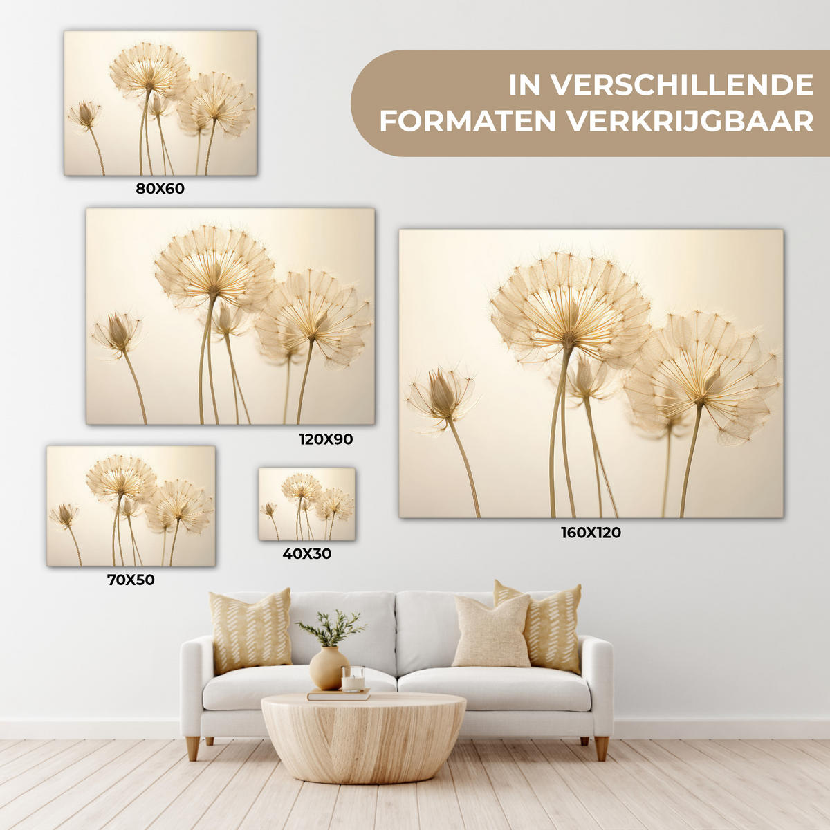 LEINWANDBILD Sonnenlicht - Löwenzahn - Botanisch - Blumen Wandbild 40x30 cm - Creme, Textil (40/30cm) - MuchoWow