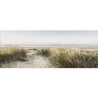 GLASBILD 80x30 cm Strand und Dünengräser - Beige, Glas (80/30cm) - artissimo