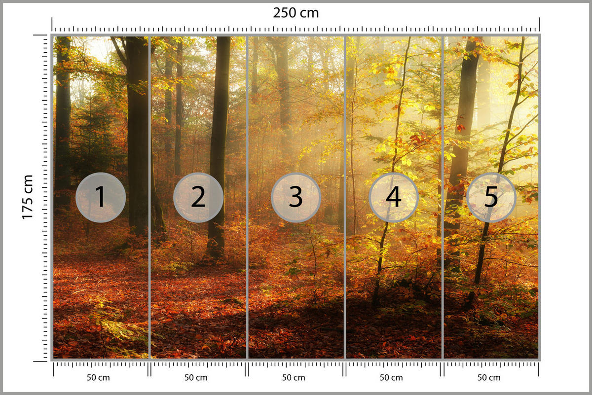 FOTOTAPETE für Wohnzimmer Herbstnebel Laubwald Bäume 250x175 - Gelb/Rot, Papier (250/175cm) - Muralo