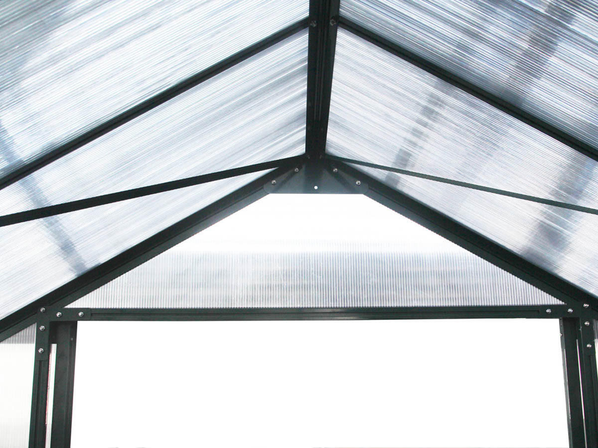 GEWÄCHSHAUS POLYCARBONAT dahlia Grün - Grün, Metall (309/430cm) - Habitat Garten