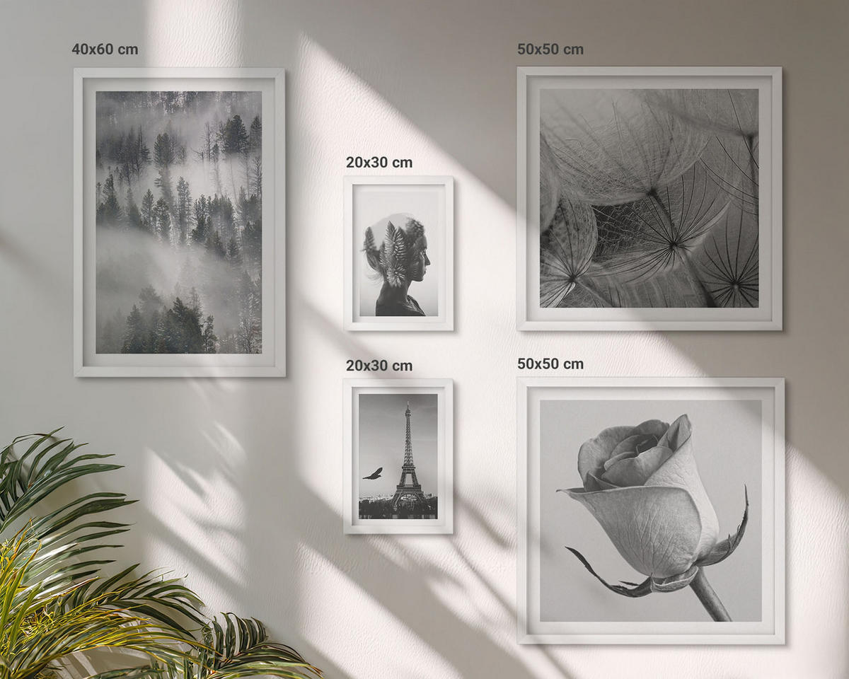 WANDBILDER 5er-Set - 50x50 cm & 20x30 cm & 40x60 cm Weißer Rahmen - Zitrusbäume in einem sonnigen Garten - Weiß, Kunststoff (40/60cm) - ArtPrintCave