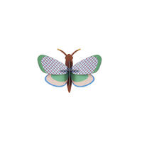 WANDSKULPTUR Bunt 11,5/4,5 cm - Multicolor, Wellpappe (0.05/4.5/9cm) - Studio Roof