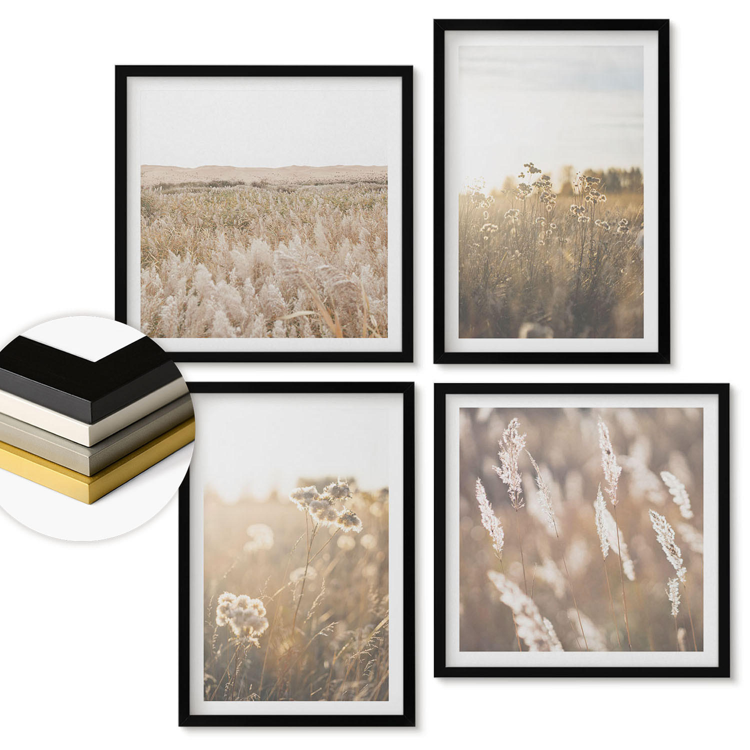 WANDBILDER 4er-Set - 50x50 cm & 40x60 cm Schwarzer Rahmen - Landschaftsgrasblumen Wärme - Schwarz, Kunststoff (50/50cm) - ArtPrintCave