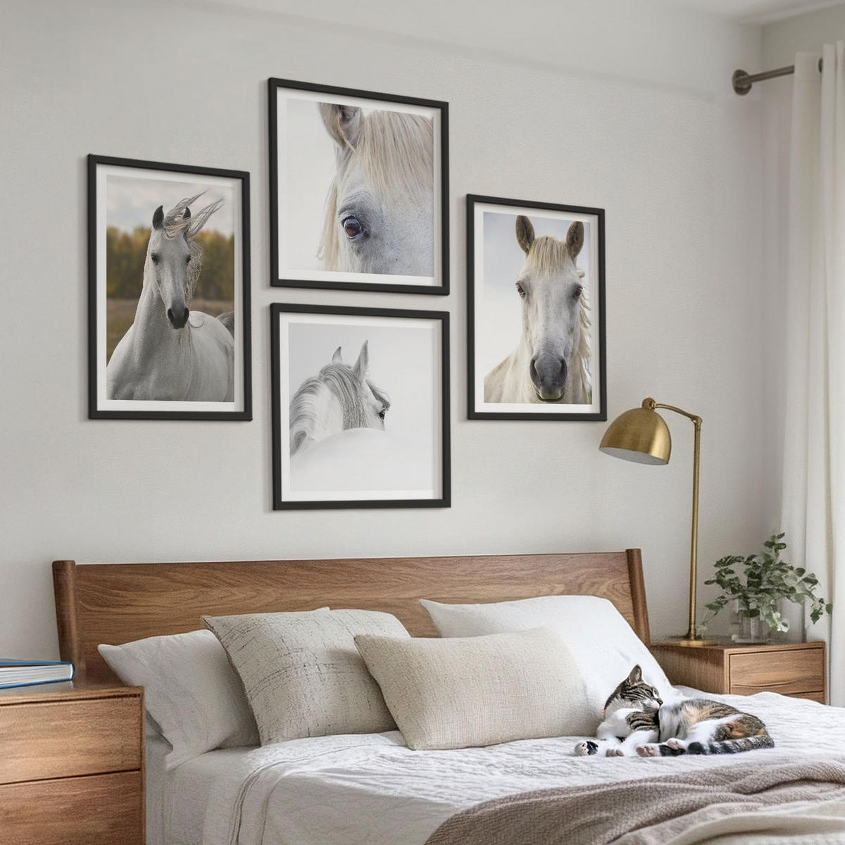 WANDBILDER 4er-Set - 50x50 cm & 40x60 cm Schwarzer Rahmen - Weiße Pferde - Schwarz, Kunststoff (50/50cm) - ArtPrintCave