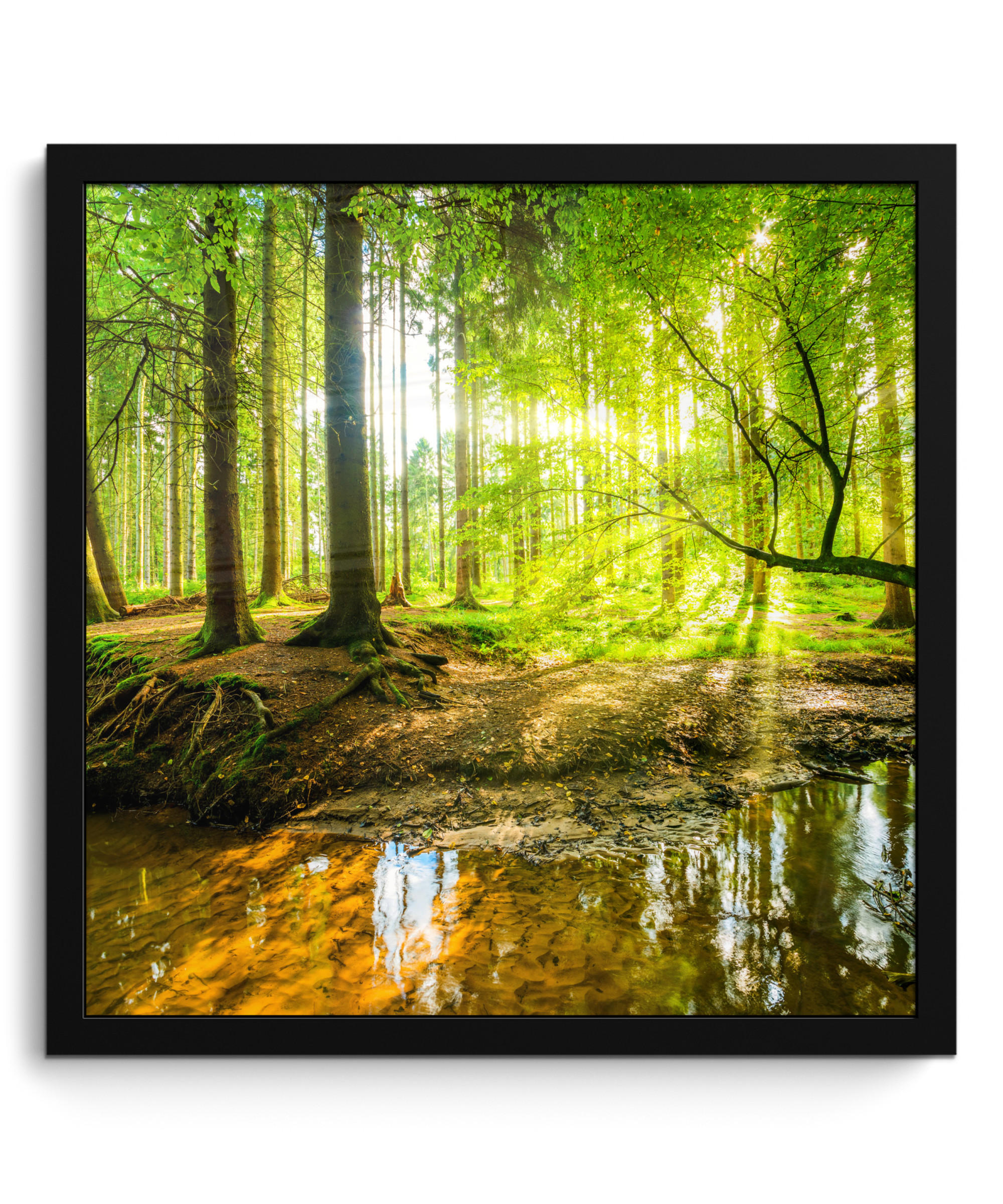 POSTER MIT RAHMENGERAHMTES BILD Wald - Landschaft - Wasser - Bäume - Sonne - Grün - Natur 40x40 cm - Grün, Papier (40/40cm) - MuchoWow