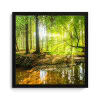 POSTER MIT RAHMENGERAHMTES BILD Wald - Landschaft - Wasser - Bäume - Sonne - Grün - Natur 40x40 cm - Grün, Papier (40/40cm) - MuchoWow