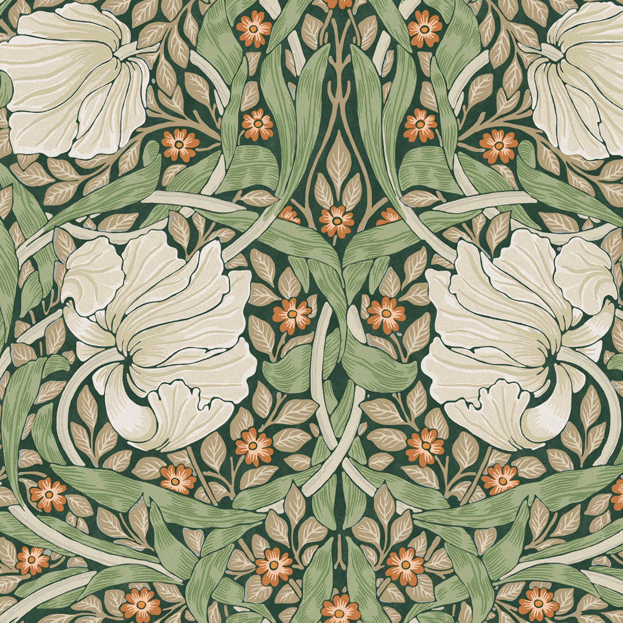 VLIESTAPETE Pimpernel Grün - Grün, Papier/Kunststoff (52/1000cm) - Graham & Brown