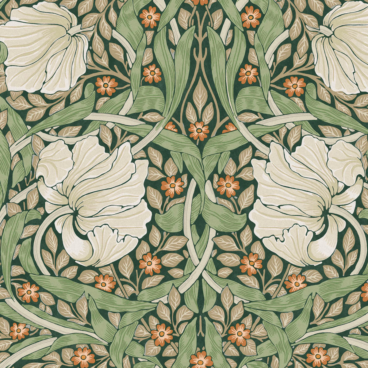 VLIESTAPETE Pimpernel Grün - Grün, Papier/Kunststoff (52/1000cm) - Graham & Brown