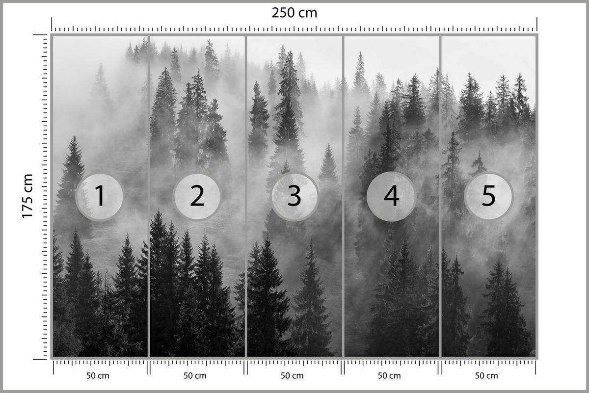 FOTOTAPETA Čierno-biely Les V Hmle Príroda 250 x 175 cm - čierna/sivá, papier (250/175cm) - Muralo