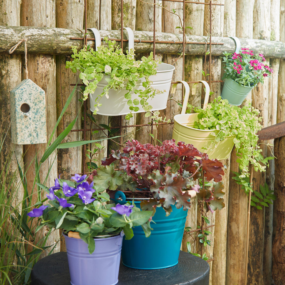 HÄNGEKASTEN Zinc Ø16cm - Pastellgrün, Metall (1cm) - Butlers