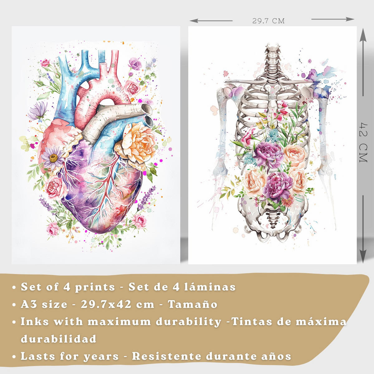 POSTER Set aus 4 Anatomie Mensch Drucke und mit Herz Gehirn Lungen Luftröhre Bronchien Wirbelsäule Florales Aquarell Design Größe Weißer Rahmen A3 - Weiß, Papier (29.7/42/3cm) - Nacnic