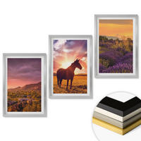 WANDBILDER 3er Set - 40x60 cm Silberner Rahmen - Berglandschaft mit einem Pferd - Silberfarben, Kunststoff (40/60cm) - ArtPrintCave