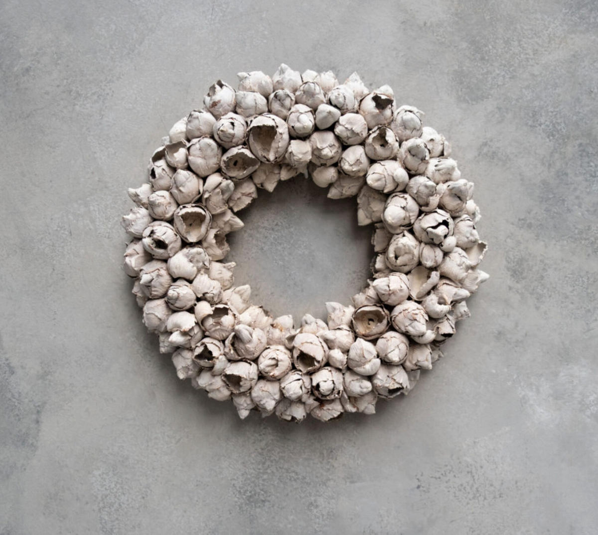 TROCKENBLUMEN Cocofruchtkranz Beige - Beige, Naturmaterialien (3cm)