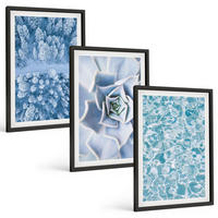 BILDER SET 3er Set - 40x60 cm Schwarzer Rahmen - Winterwald blaue Blume Wasser - Schwarz, Kunststoff (40/60cm) - TULUP