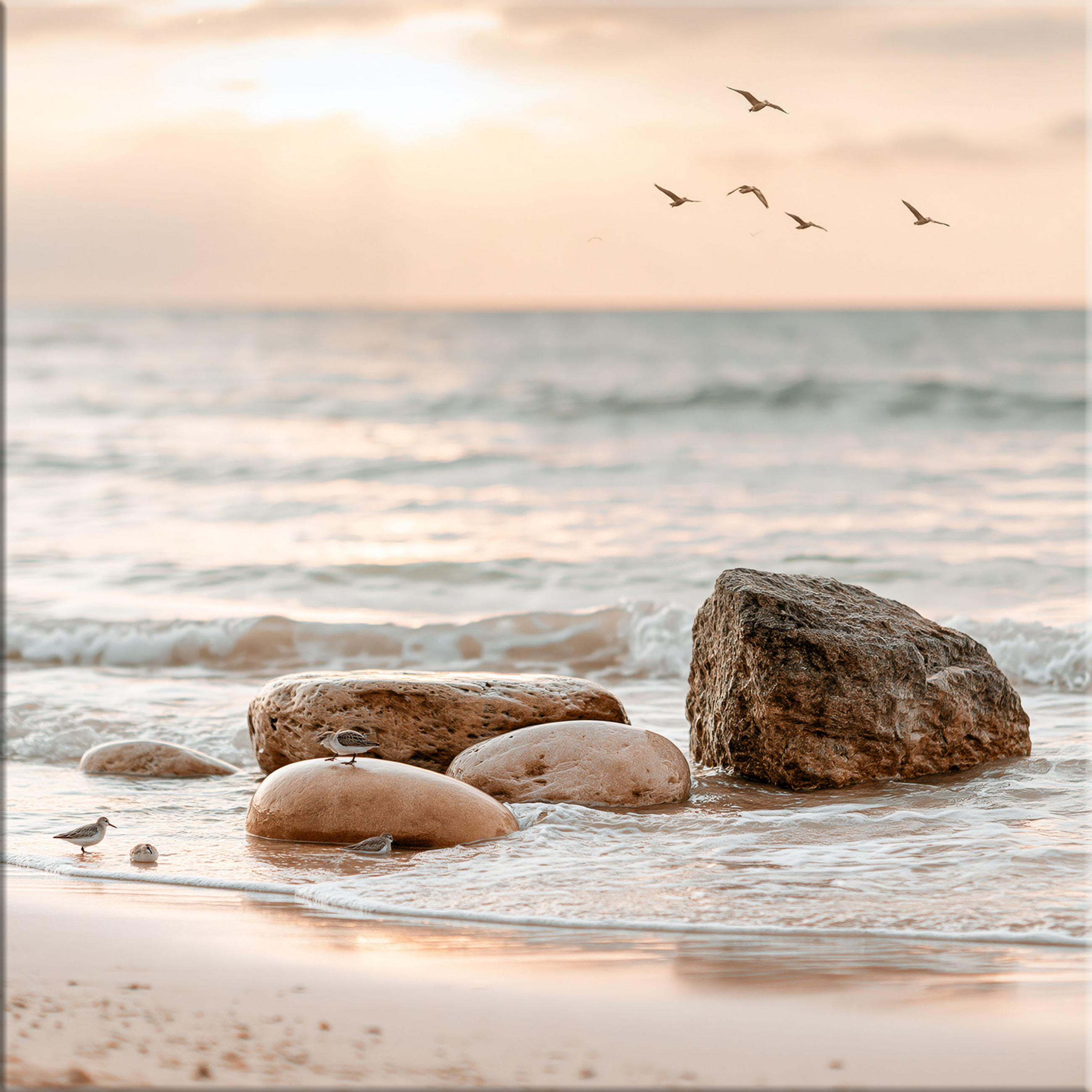 GLASBILD 50x50 cm Strand & Meer beige-weiß - Beige, Glas (50/50cm) - artissimo