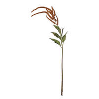 KUNSTBLUME Florista Hirse/Millet - Braun, Kunststoff (110cm) - Butlers