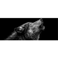 GLASBILD 80x30 cm Wolf schwarz weiß - Schwarz/Weiß, Glas (80/30cm) - artissimo