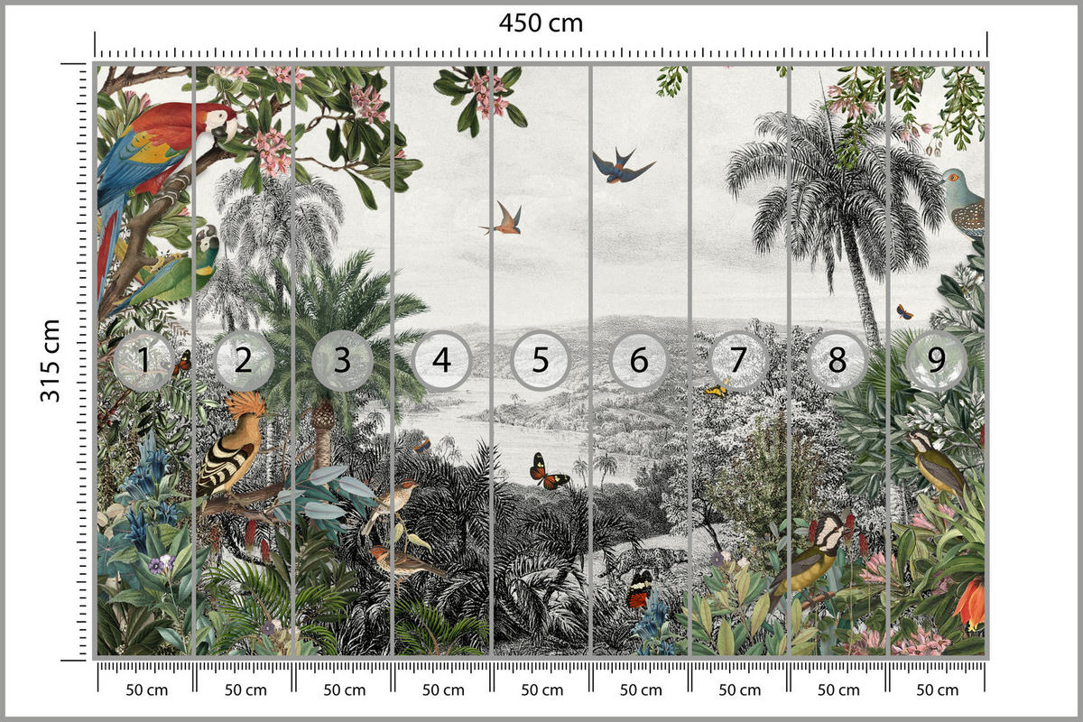 FOTOTAPETE für Wohnzimmer Tropenpapageien Vögel Palmen 450x315 - Gelb/Rot, Papier (450/315cm) - Muralo