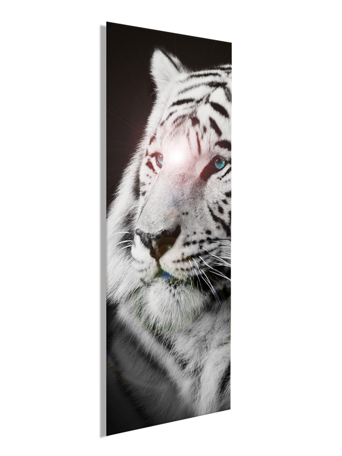 GLASBILD 30x80 cm Tiere - Anthrazit, Glas (30/80cm) - artissimo