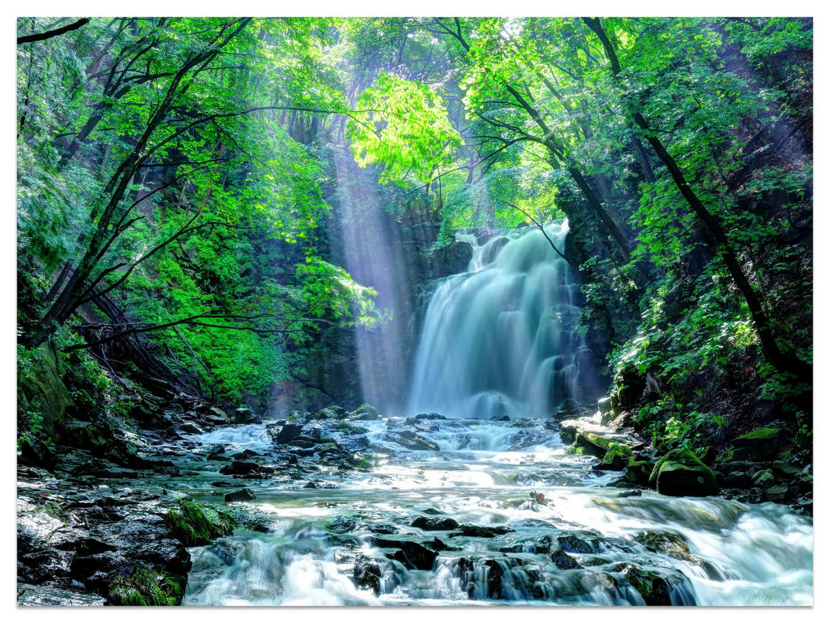 FOTOTAPETE für Schlafzimmer Wasserfall Wald Felsen Bäume Pflanzen 500x350 - Türkis/Blau, Papier (500/350cm) - Muralo