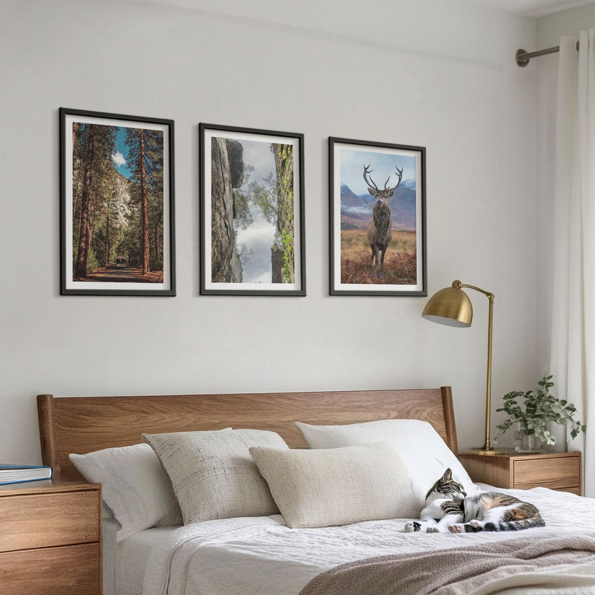 WANDBILDER 3er-Set - 40x60 cm Schwarzer Rahmen - Straße Wald Berge Hirsch Natur - Schwarz, Kunststoff (40/60cm) - ArtPrintCave