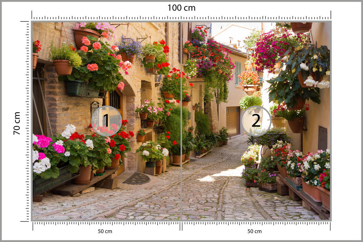 FOTOTAPETE für Wohnzimmer Italienische Steinstraße Blumen Pflanzen 100x70 - Beige/Rot, Papier (100/70cm) - Muralo