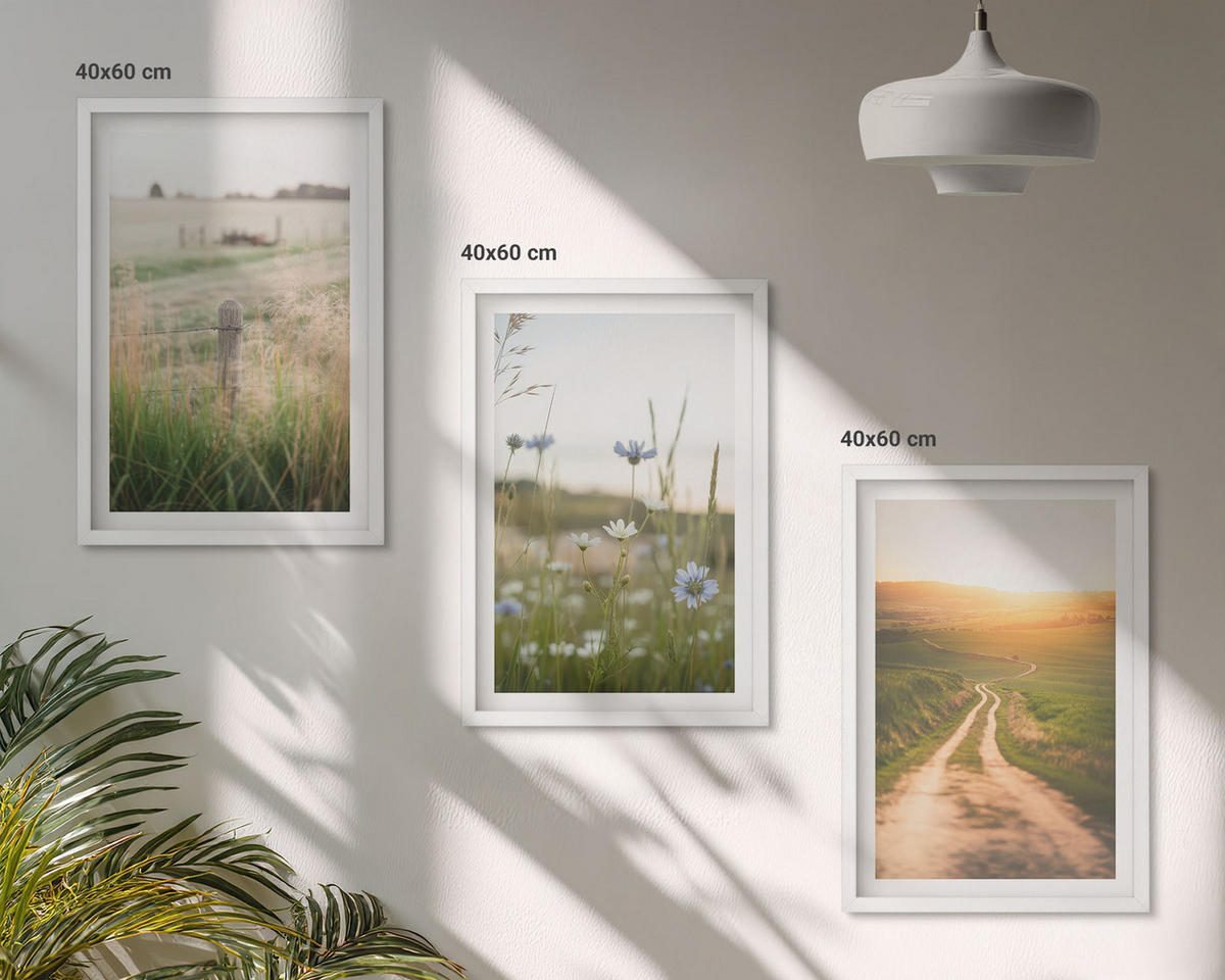 WANDBILDER 3er-Set - 40x60 cm Weißer Rahmen - Landschaften Natur Felder Weg - Weiß, Kunststoff (40/60cm) - ArtPrintCave
