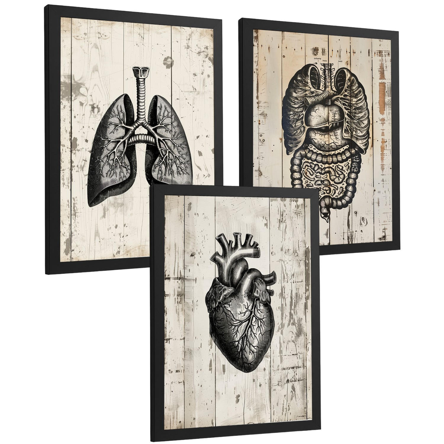 POSTER Set aus 3 Anatomie Mensch Drucke und Wandbilder mit Lungen Darm und Herz Rustikaler Stil Medizinische Wanddekoration Größe Schwarzer Rahmen A4 - Schwarz, Papier (21/29.7/3cm) - Nacnic