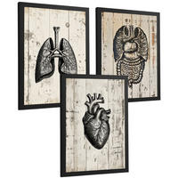 POSTER Set aus 3 Anatomie Mensch Drucke und Wandbilder mit Lungen Darm und Herz Rustikaler Stil Medizinische Wanddekoration Größe Schwarzer Rahmen A4 - Schwarz, Papier (21/29.7/3cm) - Nacnic