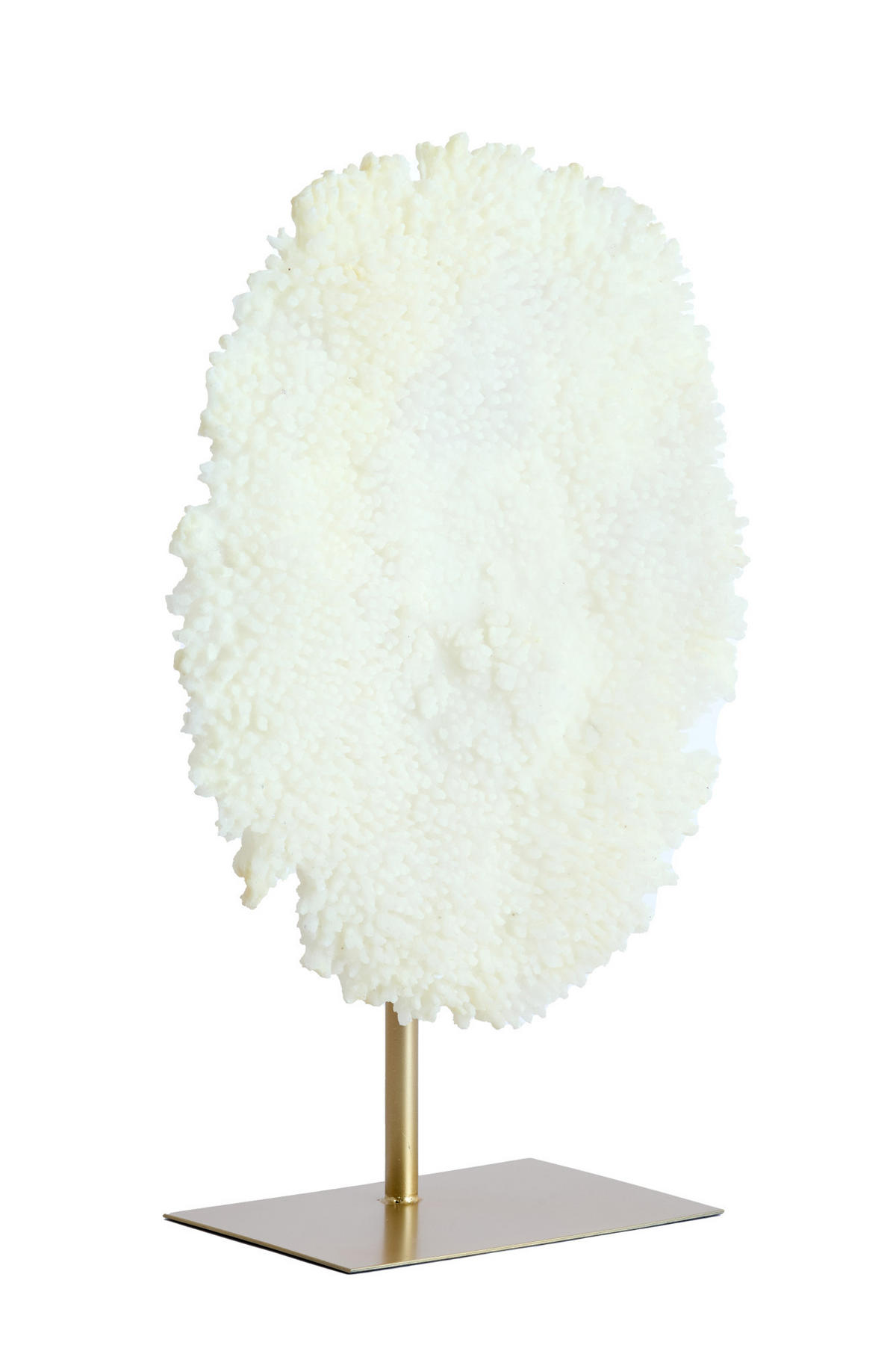ORNAMENT Koralle Weiß 46/20/69 cm - Weiß, Kunststoff (20/69/46cm) - Light & Living