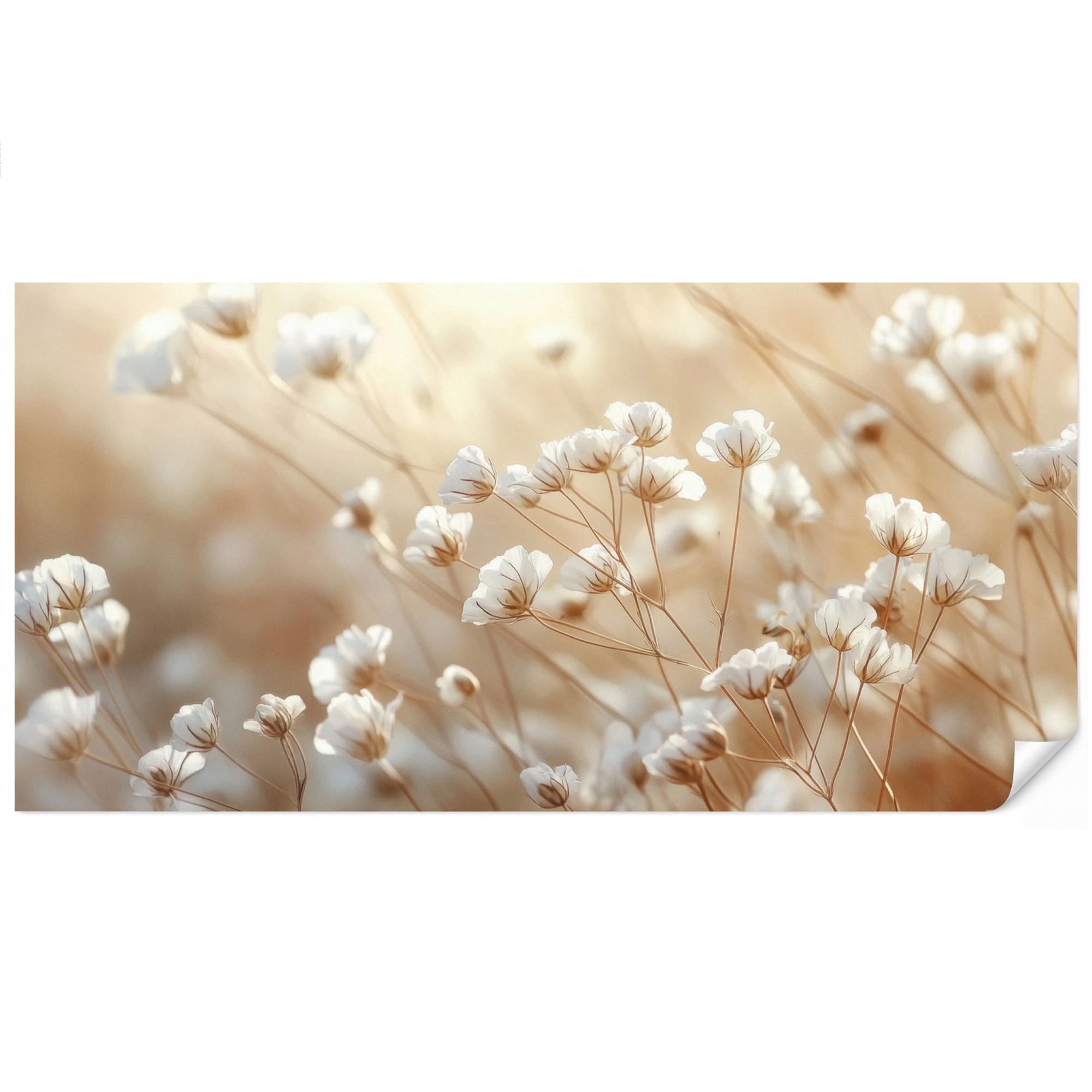 OnlyWow Tapete Creme 450x220 cm